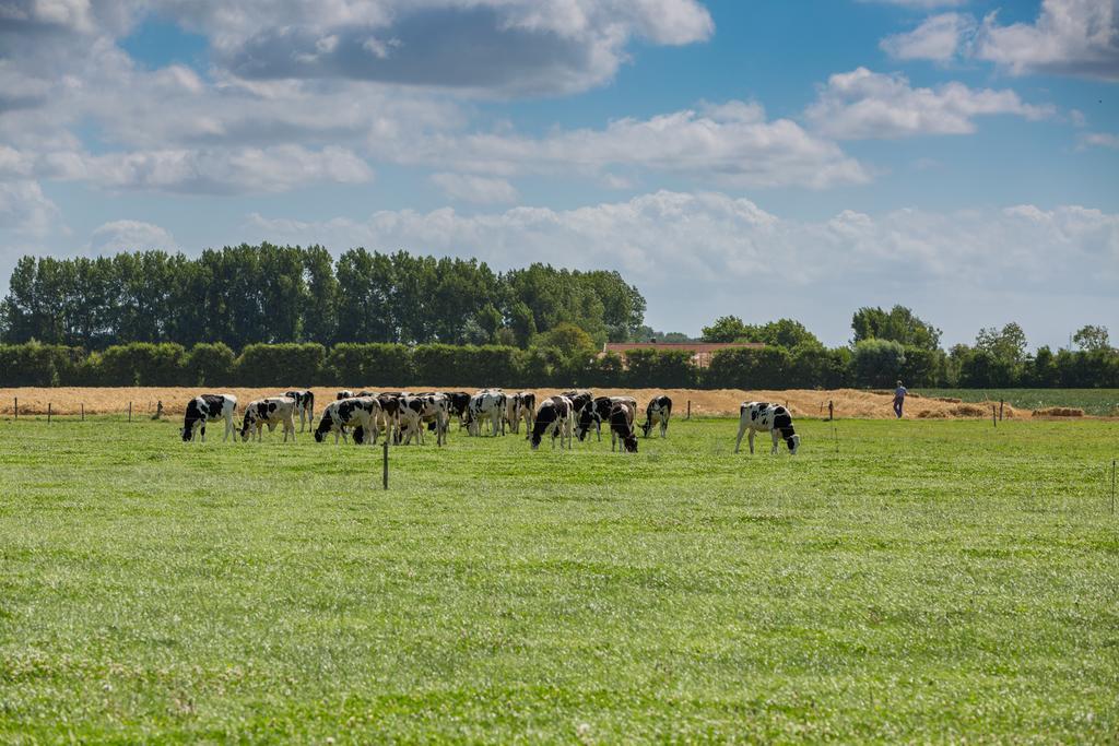 Welcome In - De Grote Geere Oostkapelle Luaran gambar